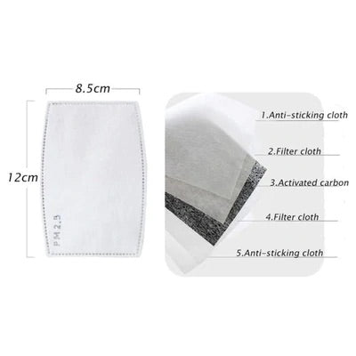 PM2.5 Filters for reusable face masks - 5 Pack